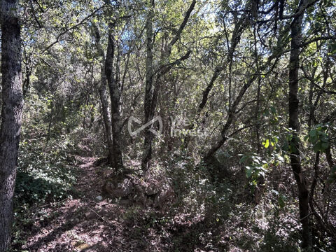   À vendre – Terrain en zone naturelle – Camps-la-Source (831 