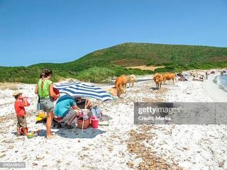  Maison � vendre 3 pi�ces 58 m�