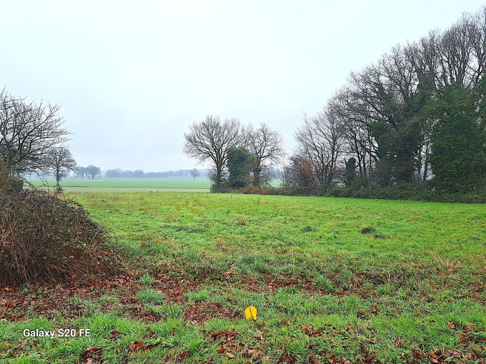Vente Terrain Terrain de 1018 M² proche de Torcé Torcé