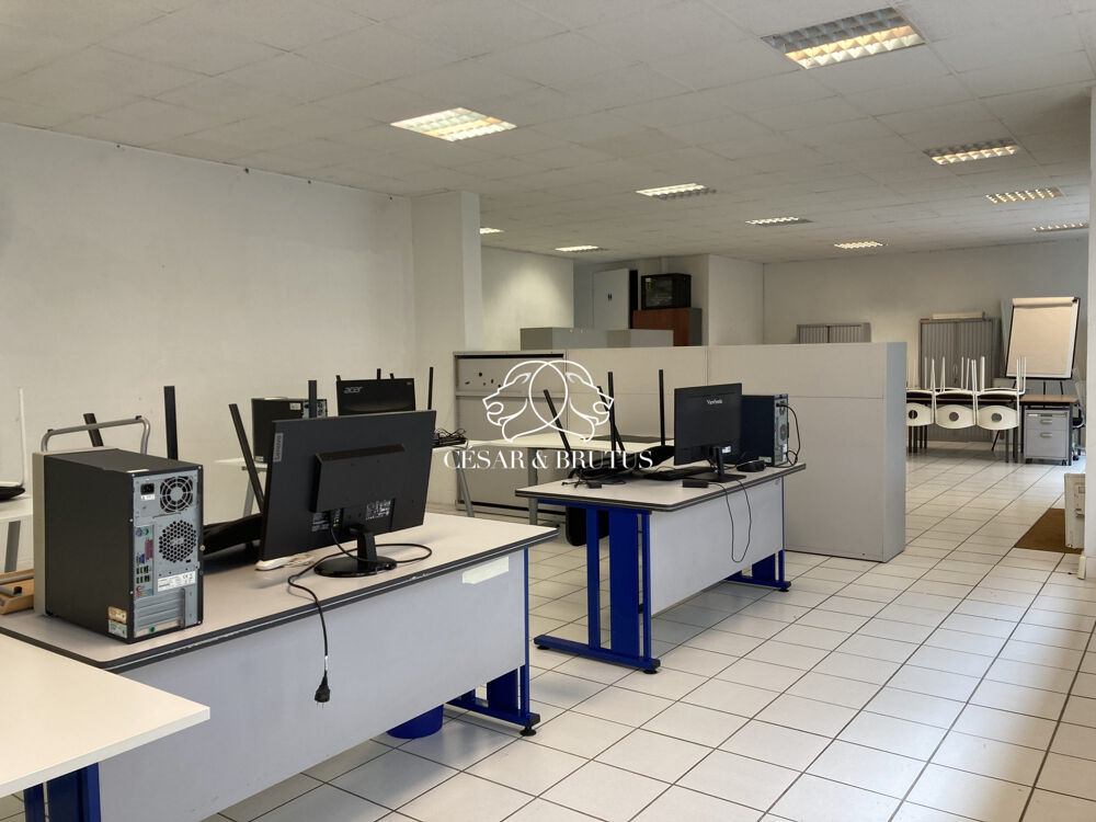   Immobilier Professionnel à vendre Lyon Lyon 6