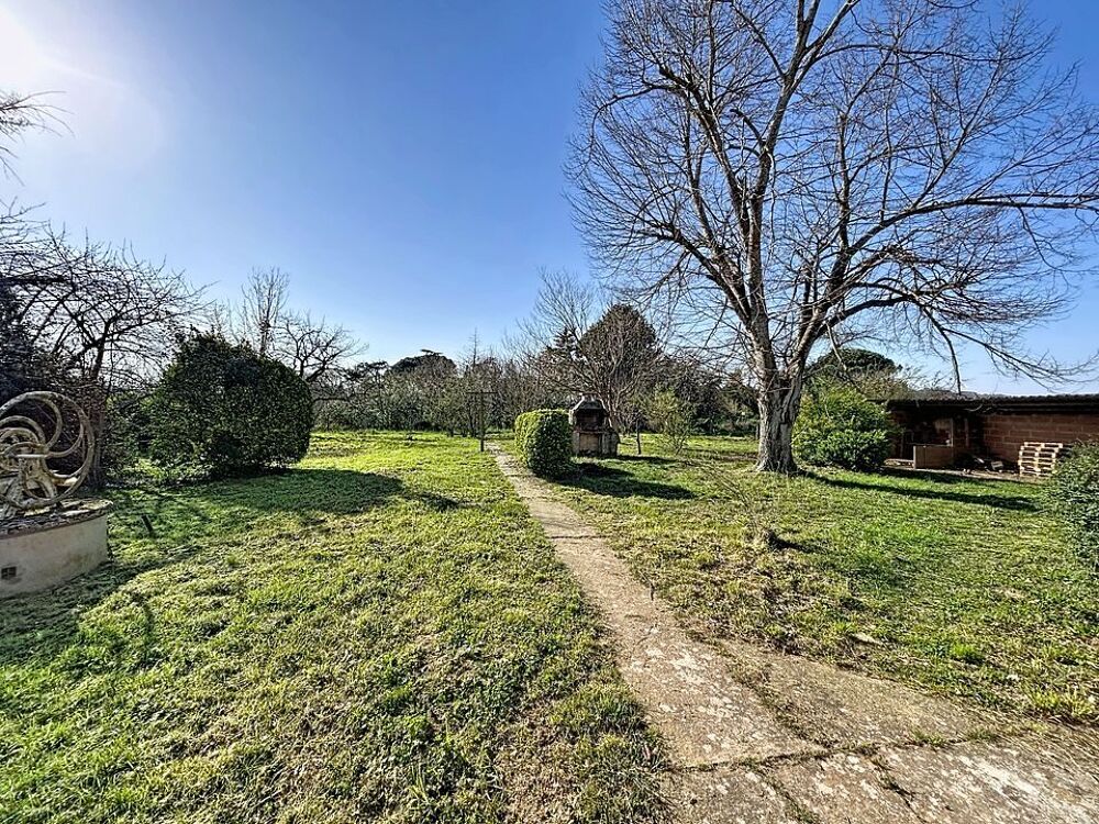 Location Maison Maison T5 Gaillac Gaillac