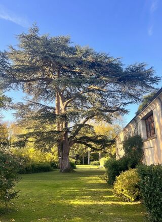  Maison � vendre 11 pi�ces 260 m�