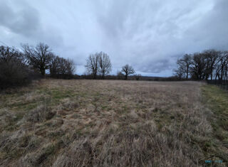  Terrain à vendre 9931 m²