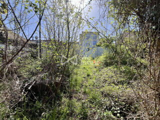  Terrain à vendre 900 m²