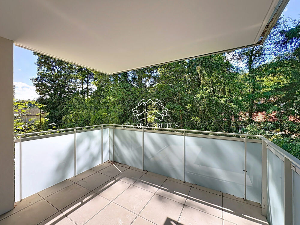 Appartement T2 de 50 m² + balcon + cave + box