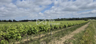  Terrain à vendre 190000 m²