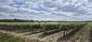  Terrain à vendre 190000 m²