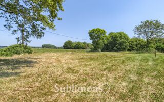  Terrain  vendre 890 m Dreffac