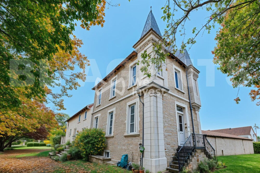 � vendre  Maison Faye-la-Vineuse (37120)