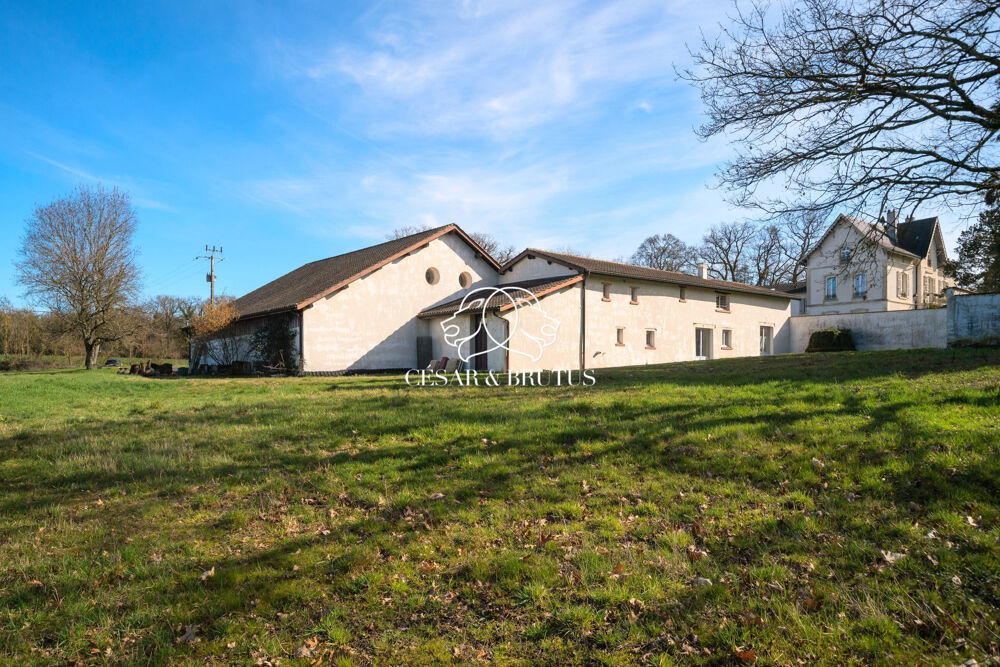 � vendre  Maison Montluel (01120)