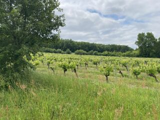  Terrain � vendre 10076 m�