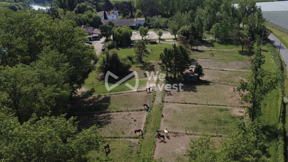 Vente Maison ? Propriété équestre d'exception – Cadre privilégié & Montauban