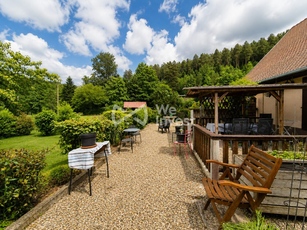 Vente Maison Maison 427 m² en 5 appartements sur près d'un hectare Wangenbourg-engenthal