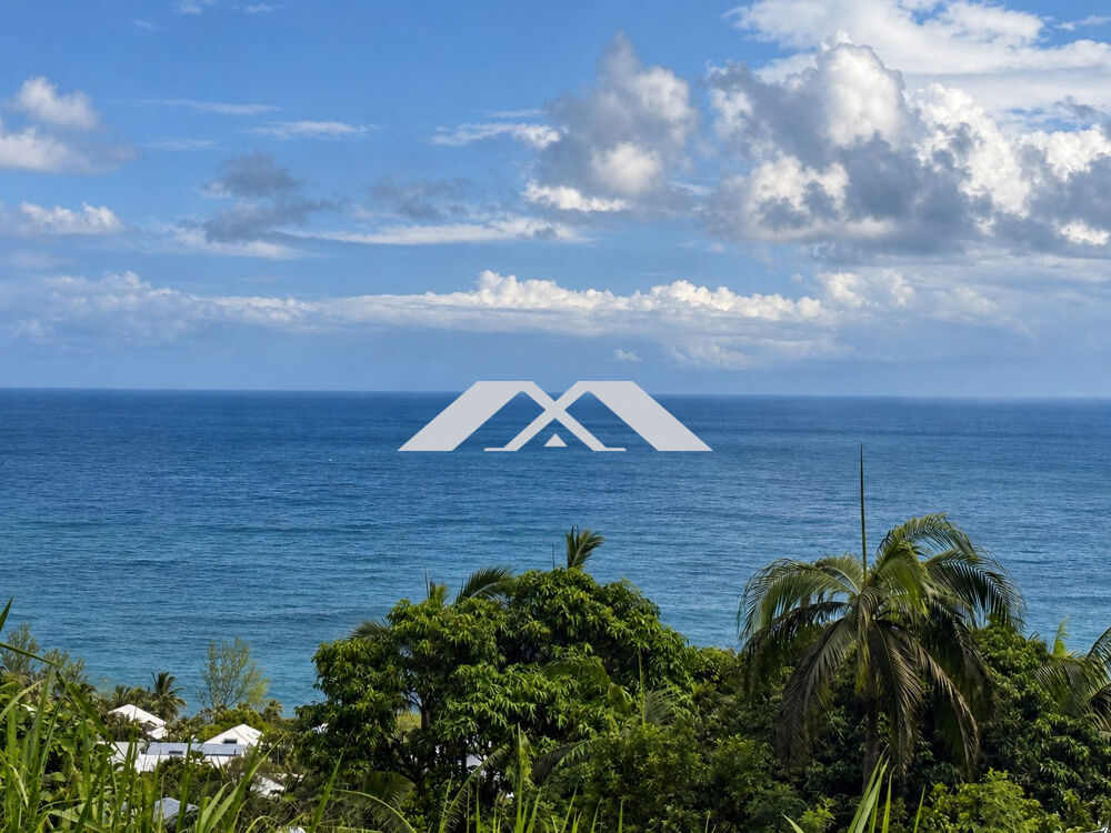   TERRAIN 2 902 M² – FORT POTENTIEL – VUE MER EXCEPTIONNELLE 