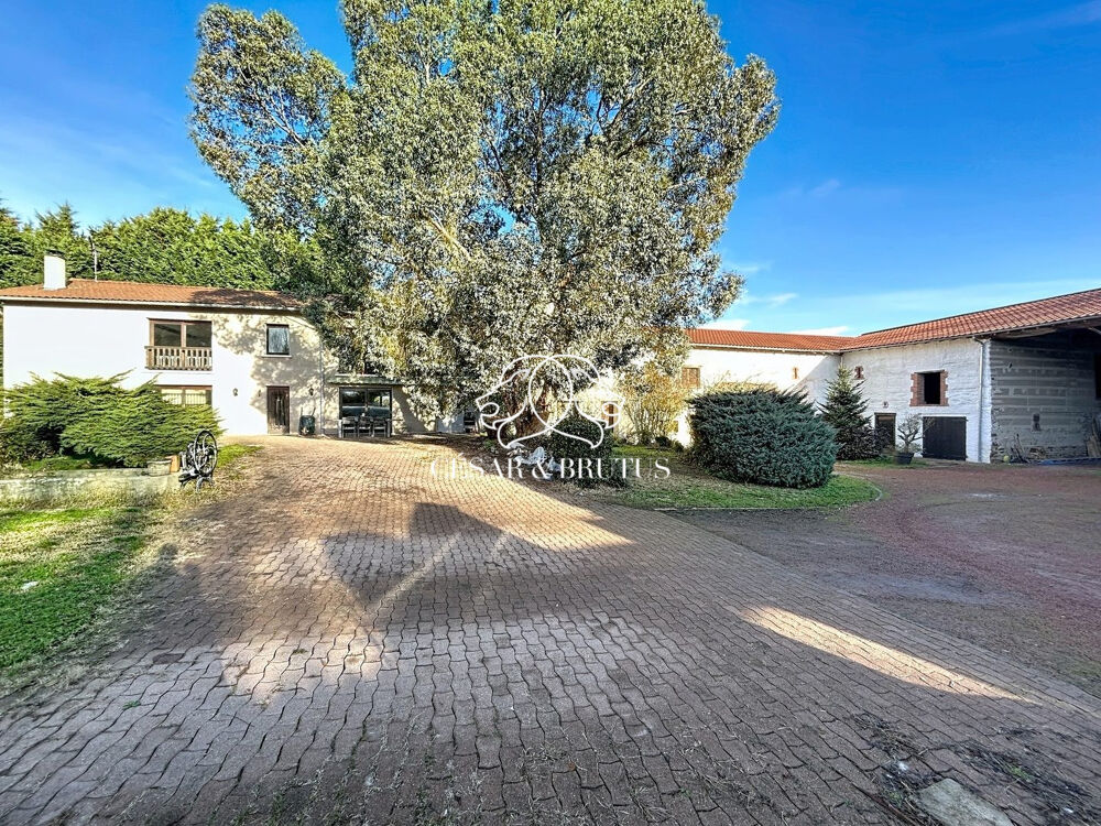 House in Nervieux - View 4