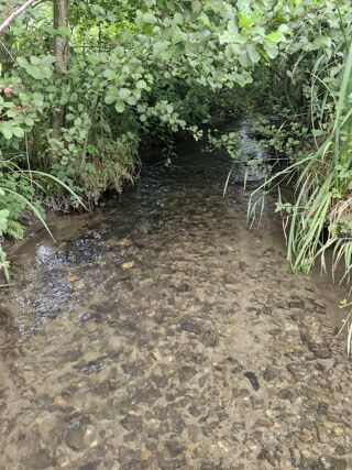  Terrain � vendre 10461 m�