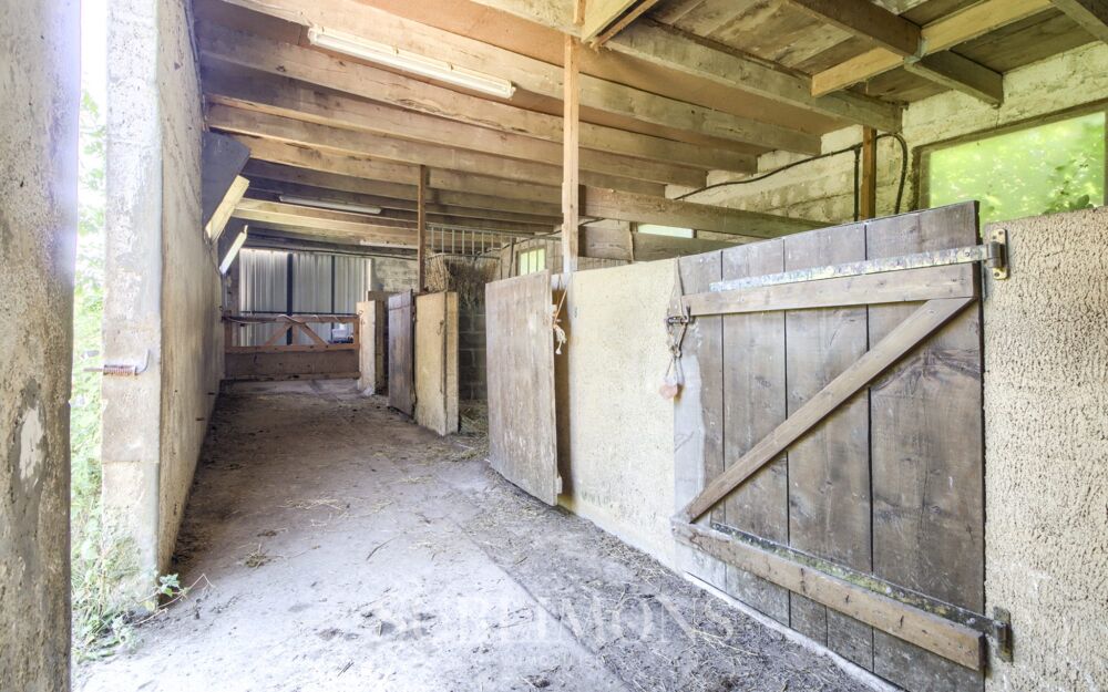 Maison individuelle de 131 m²  Paradis nature idéal chevaux