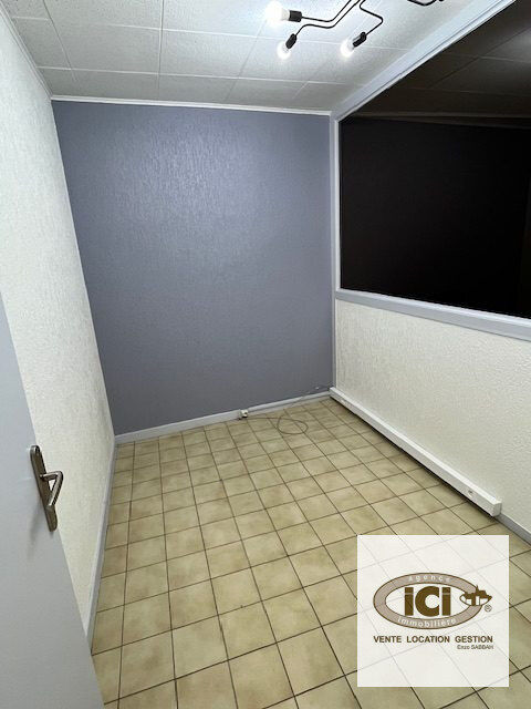 Immobilier Professionnel &agrave; louer Annemasse 290 74100 Annemasse