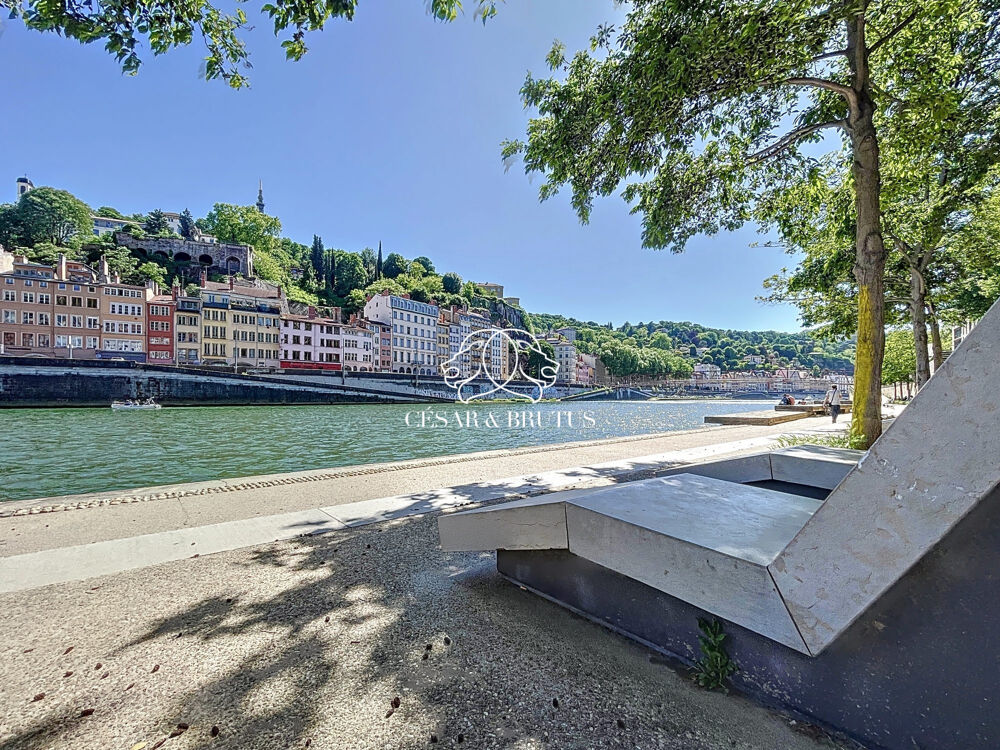 � vendre  Appartement Lyon 1