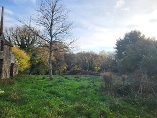  Immeuble � vendre 440 m�