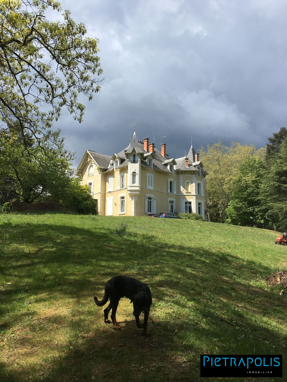  vendre  Proprit/chteau Saint-Julien-Molin-Molette (42220)