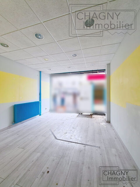   Immobilier Professionnel à vendre Chalon-sur-Saône 