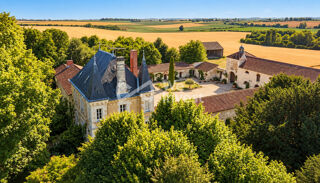  Propriété/château à vendre 15 + pièces 530 m²