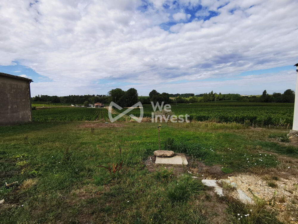 PROPRIETE VITICOLE BATIMENTS + VIGNES + BOIS A LUSSAC