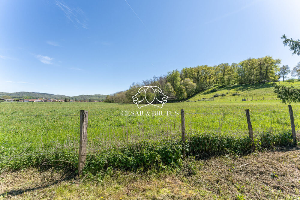 � vendre  Maison Chozeau (38460)