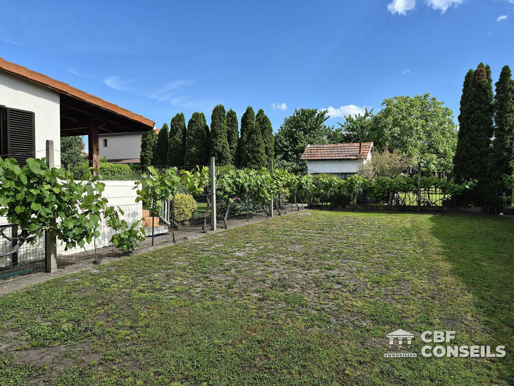 Ensemble immobillier: 2 maisons et grand terrain