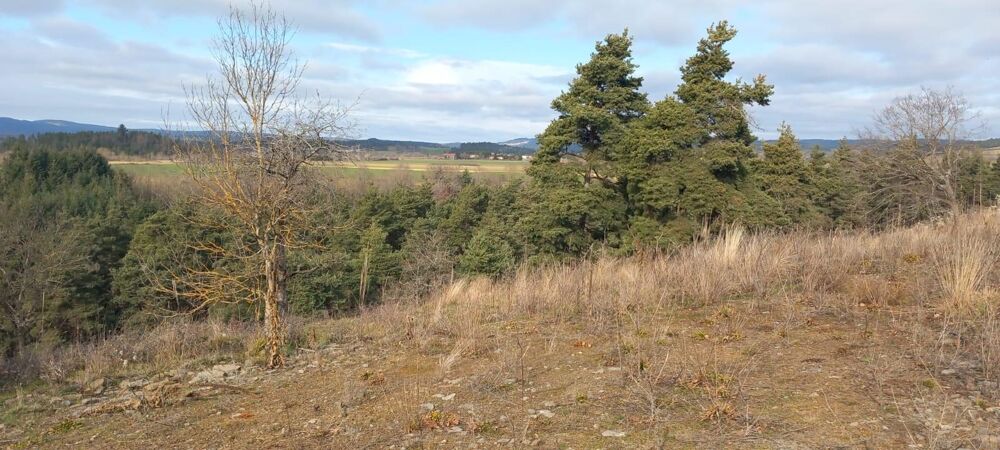 Vente Terrain SPT99 Saint-paulien
