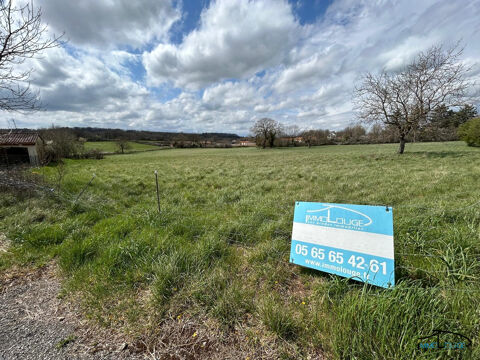 TERRAIN CONSTRUCTIBLE 56000 12200 Villefranche-de-rouergue