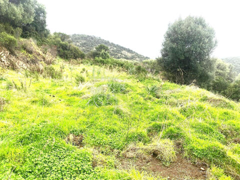   OSANI – Terrain à bâtir 2 134 m² – Environnement naturel 