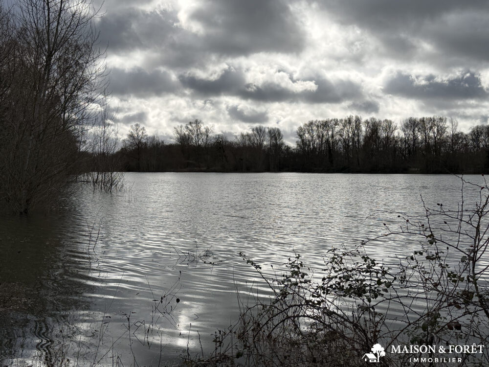 Vente Terrain ETANG Gien