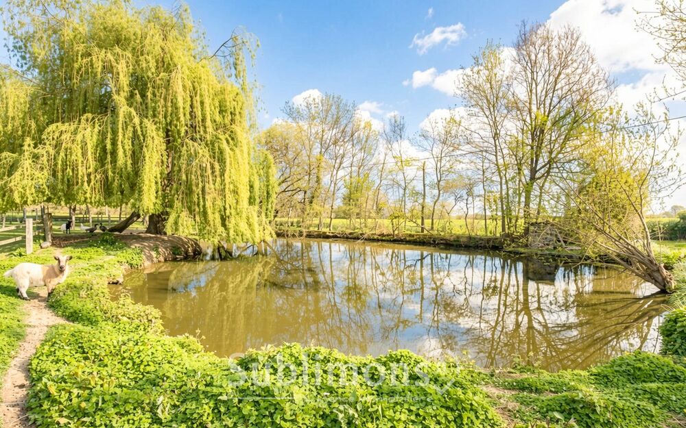 � vendre  Maison Vern-d'Anjou (49220)