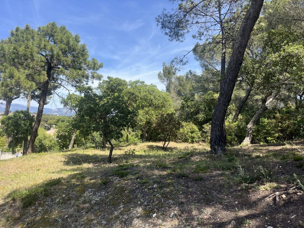 Vente Terrain Terrain en zone naturelle forêt Six-fours-les-plages