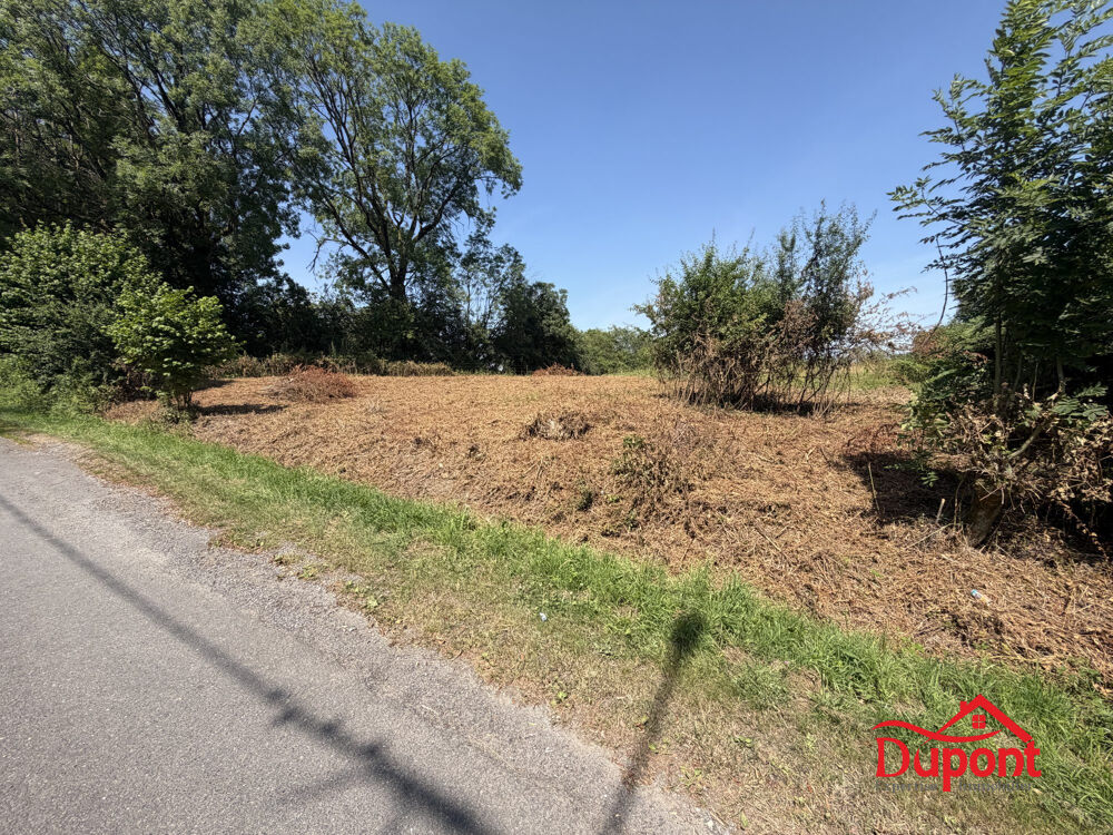Vente Terrain terrain 1280 m2 Rocroi Rocroi