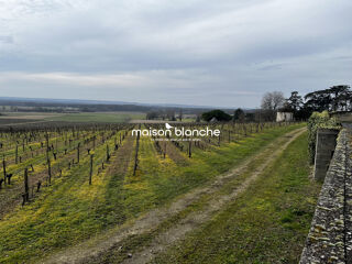  Propri�t�/ch�teau � vendre 13 pi�ces 864 m�