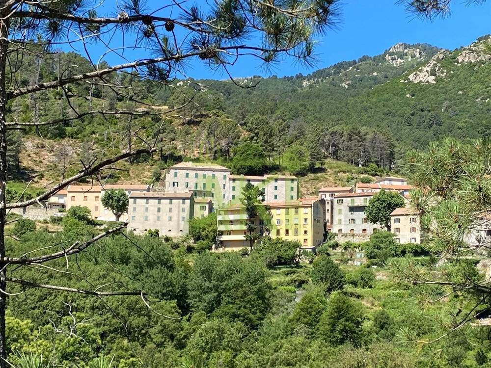 Vente Immeuble Immeuble à vendre Ghisoni Ghisoni