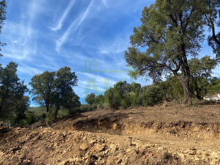  Terrain à vendre 5446 m²