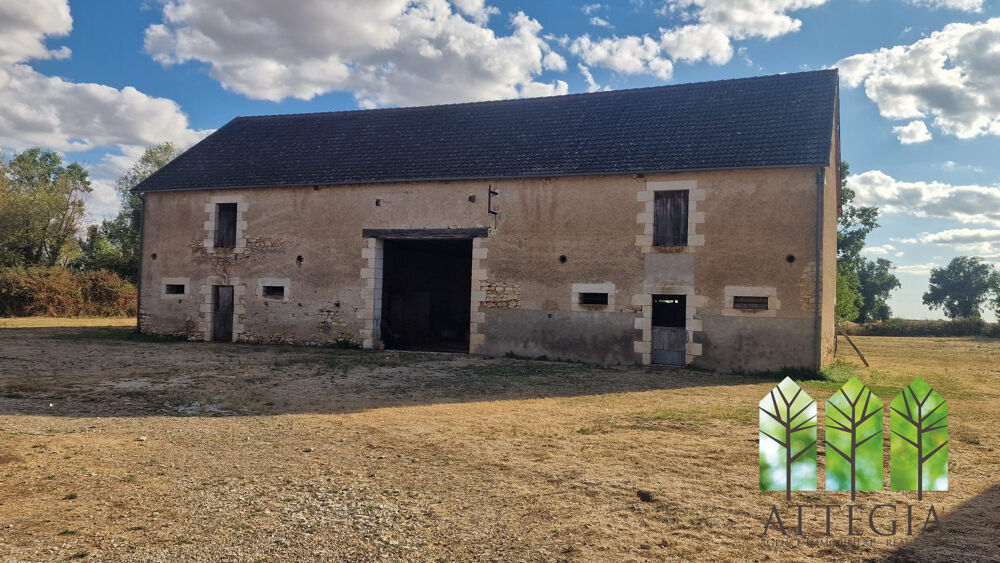 Vente Maison Maison traditionnelle, intérieur contemporain et 1,3 hectare de Ardentes