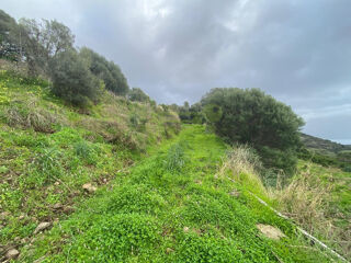  Terrain à vendre 