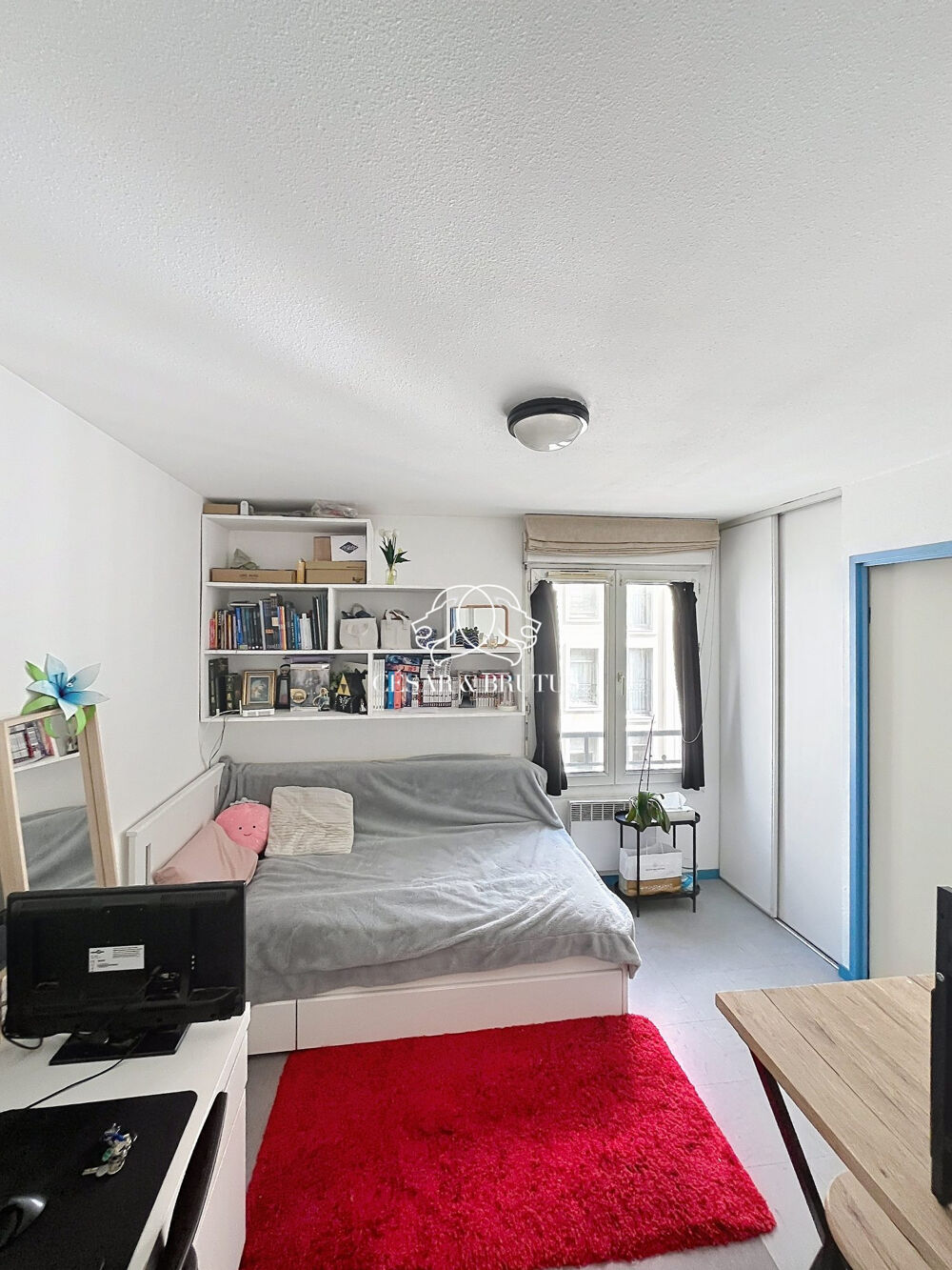 Vente Appartement Appartement à vendre Lyon Lyon 7