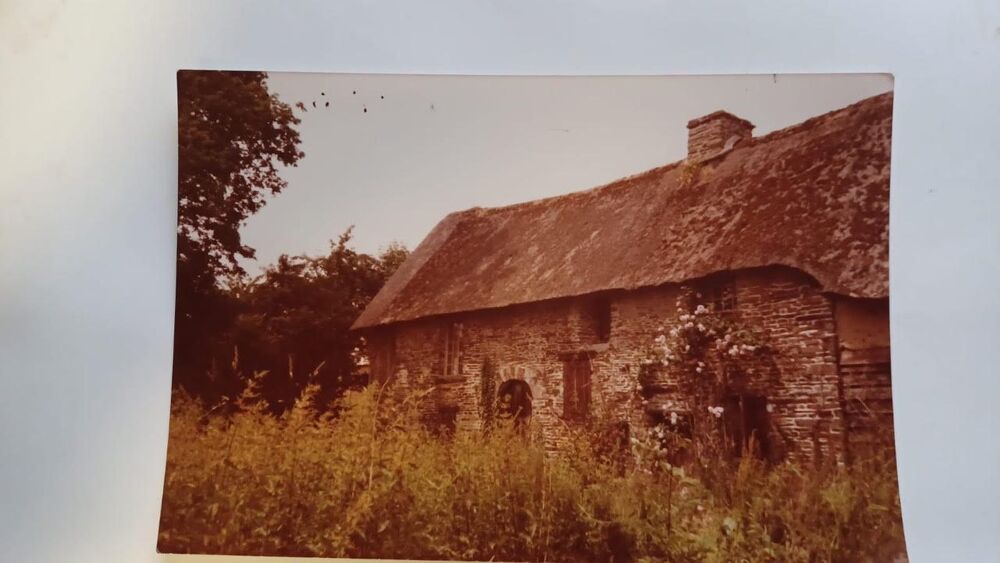 MAISON A RECONSTRUIRE OU TERRAIN DE LOISIR