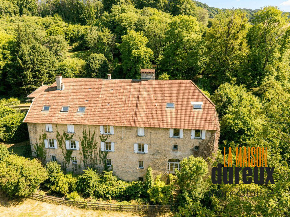 Vente Maison MOULIN 18EME SIECLE PROCHE SALINS-LES-BAINS Pont-d'héry
