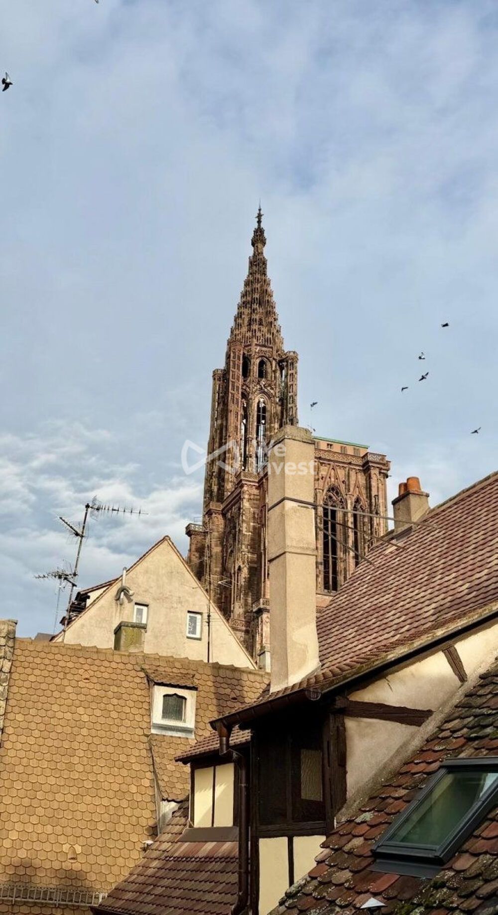 Vente Appartement Appartement duplex 4 pieces Strasbourg