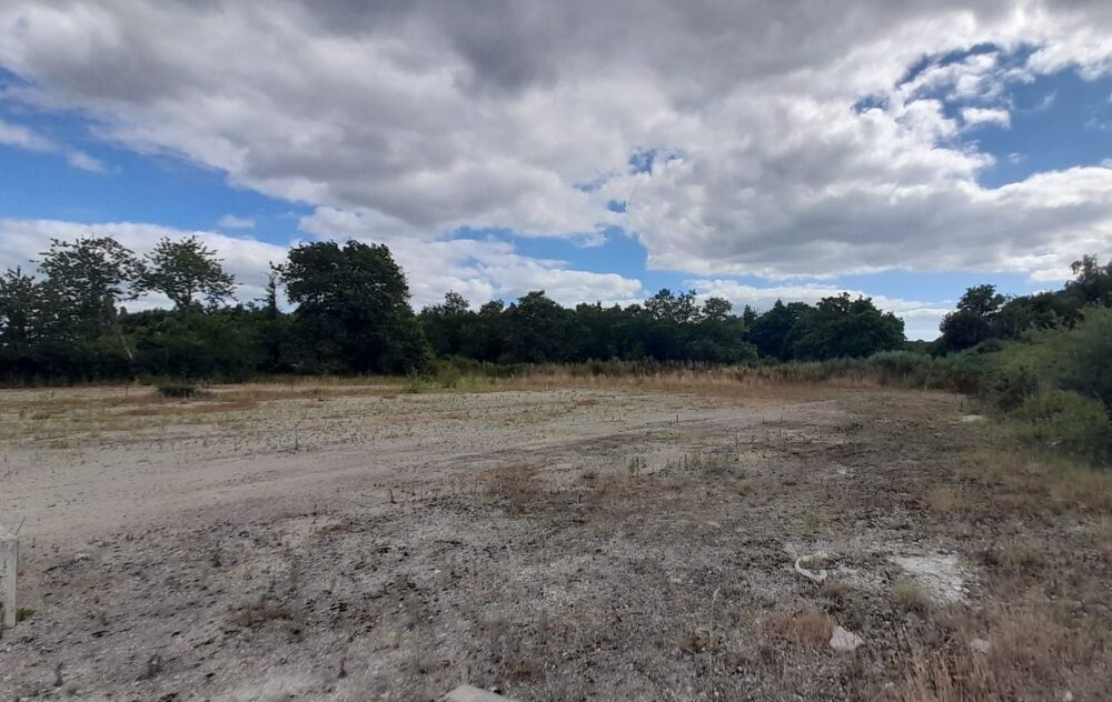   AGGLO D'AURAY - Local d'activités NEUF de 800 m² 