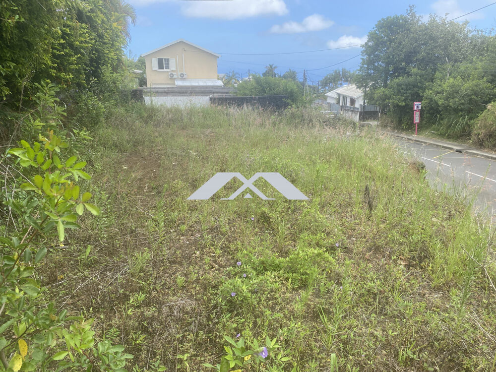   Terrain plat – 384 m² – Mont-Vert (540 m d'altitude) 