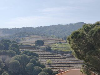 Maison � vendre 5 pi�ces 105 m� Collioure