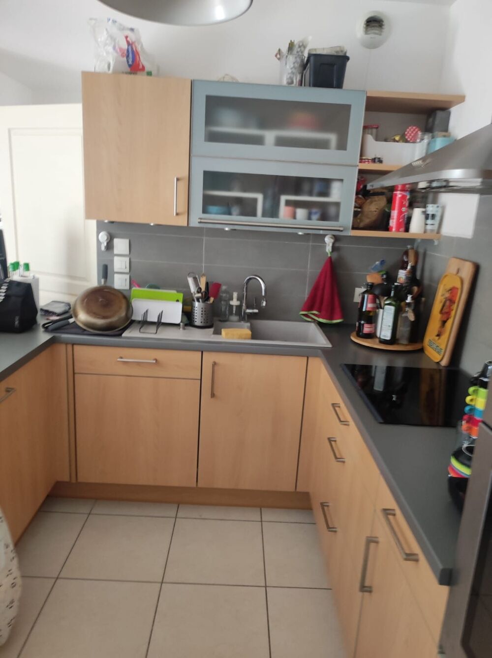 Location Appartement Appartement à louer Canohès Canohès